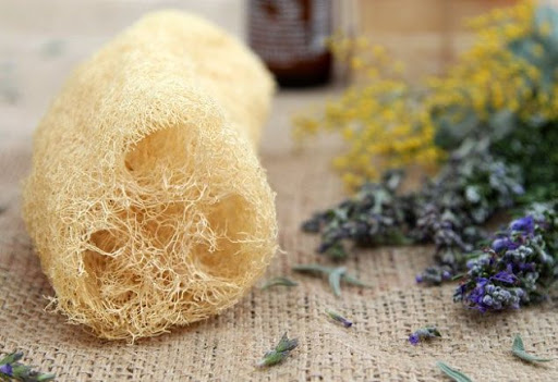 Bucha vegetal é bom para a pele?