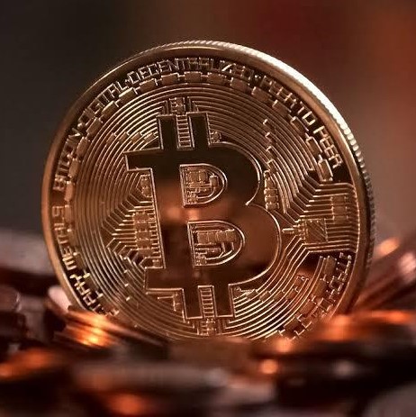 news elon musk bitcoin
