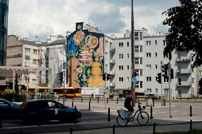 projeto city forest, da converse, chega ao rio de janeiro
