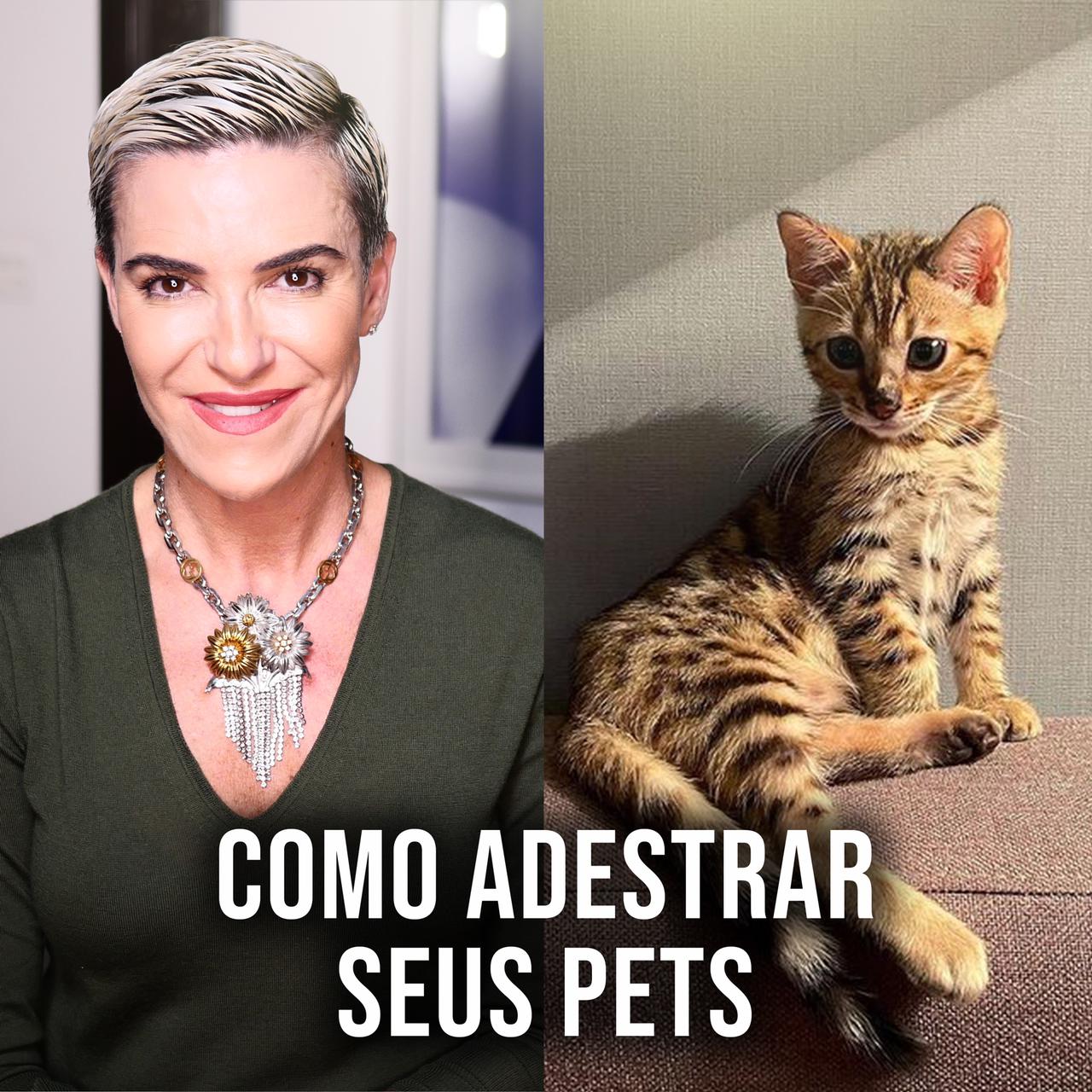 como adestrar pets