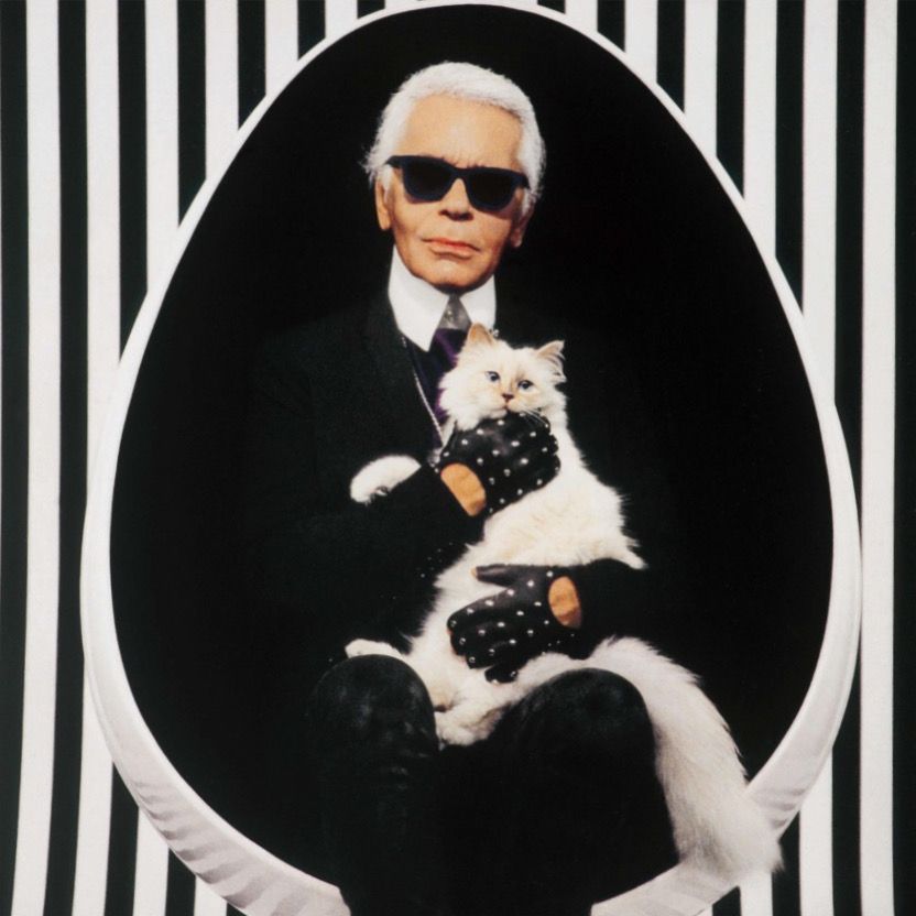 karl lagerfeld disney plus