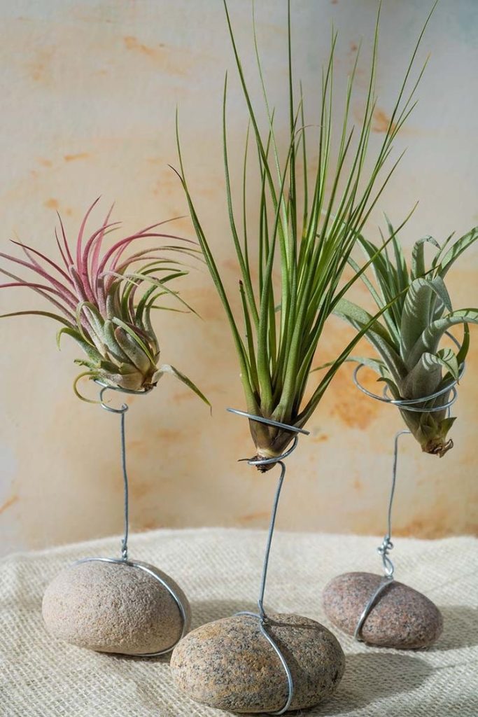Pedras naturais serão tendência de decoração em 2023