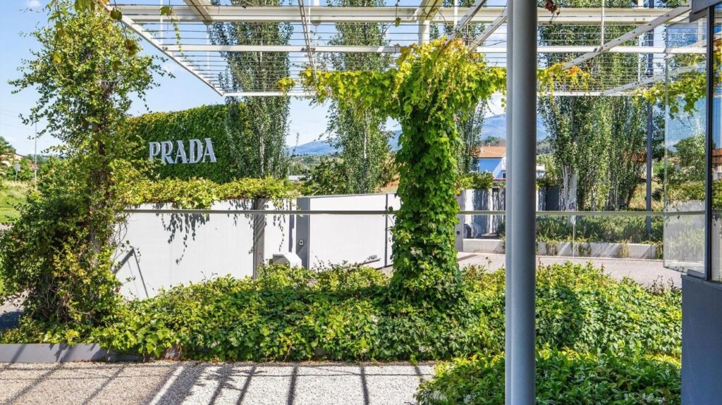 Prada reverdece a saúde das cidades com a volta da Academia Forestami