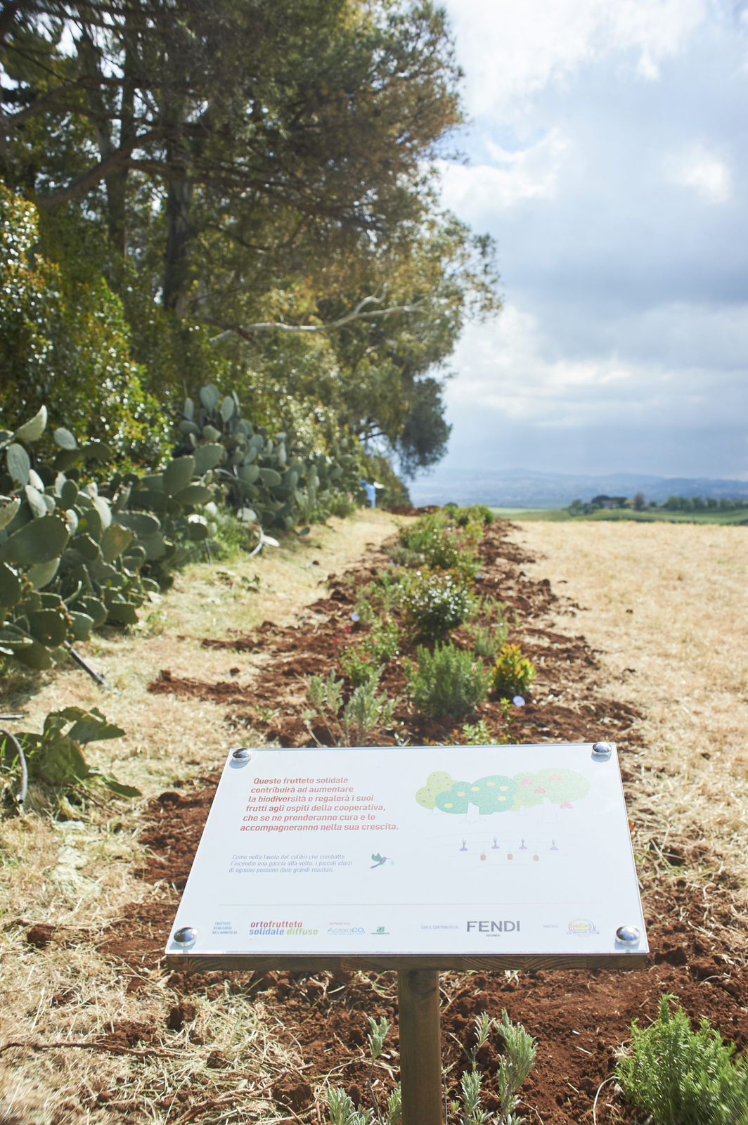 Fendi abraça a causa da biodiversidade; marca lançou parceria com AzzeroCO2