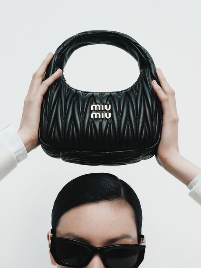 cropped-A-Bolsa-Meia-Lua-Esta-de-Volta-A-It-Bag-da-Temporada-fabiola-kassin-hypnotique-2.jpeg