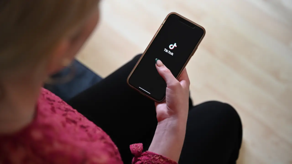 TikTok Shop Brasil: O Que Esperar da Nova Plataforma de E-commerce?