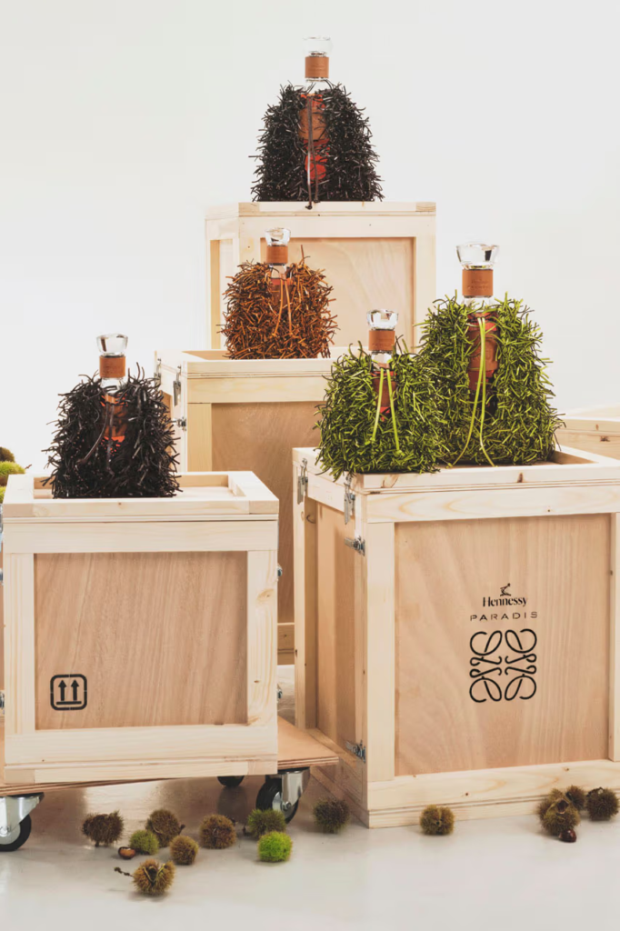 Um Brinde à Loewe de Jonathan Anderson: Primeira Colaboração com Hennessy Paradis