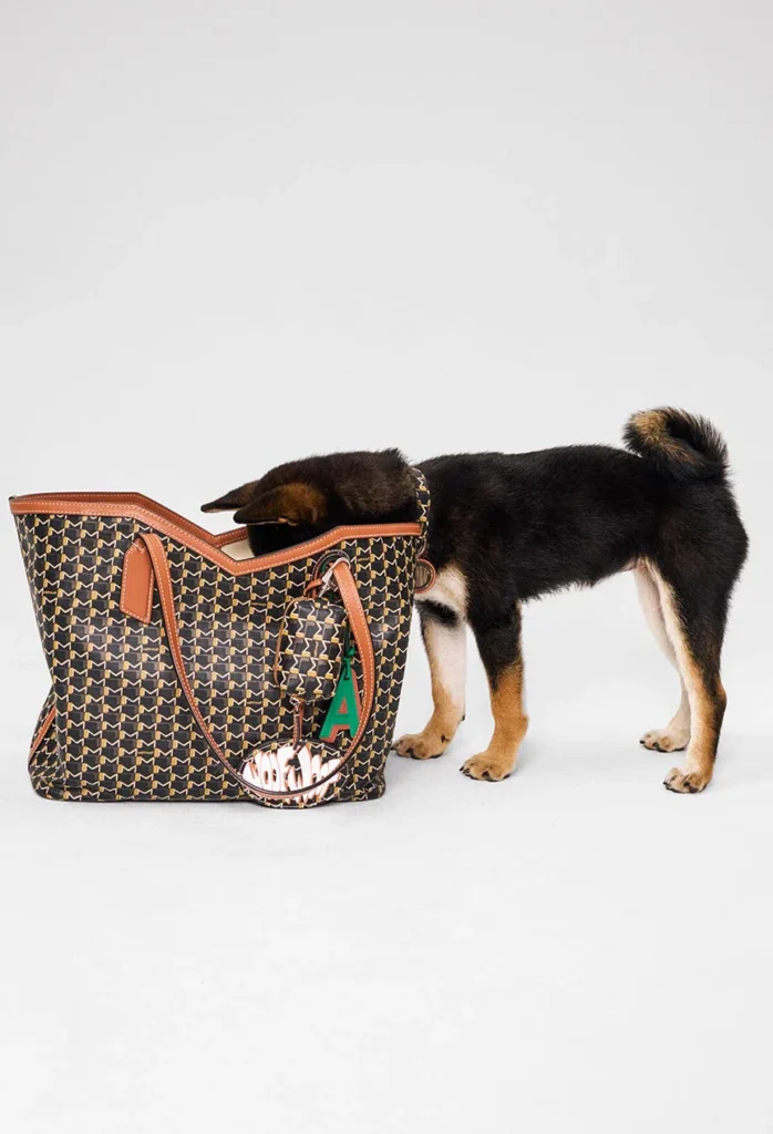 Moynat apresenta coleção de acessórios para pets com o M Canvas Pet Collection