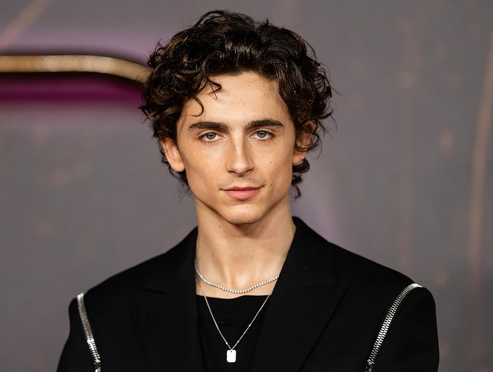 Timothée Chalamet confirma presença na CCXP 2025 para promover Marty Supreme