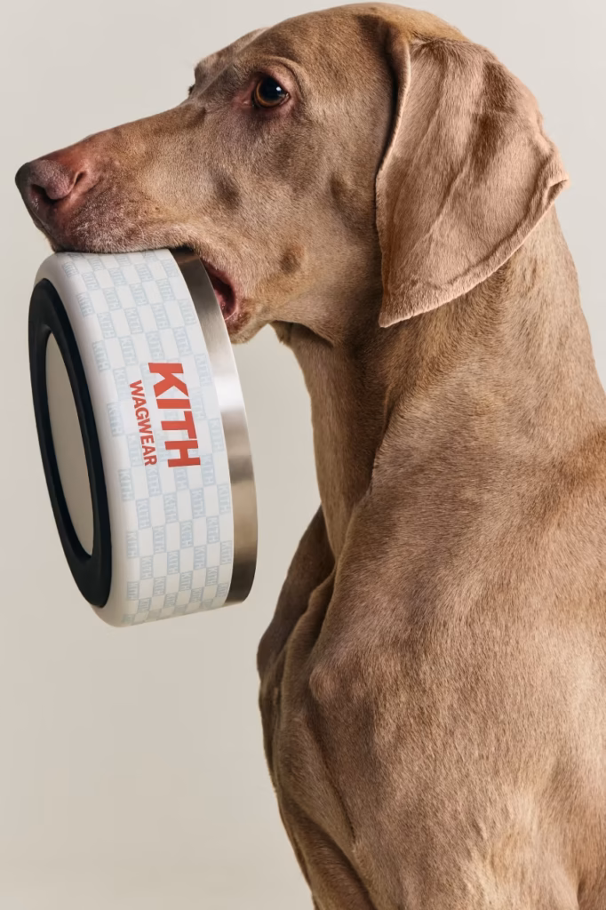 Kith lança coleção pet em parceria com a Wagwear