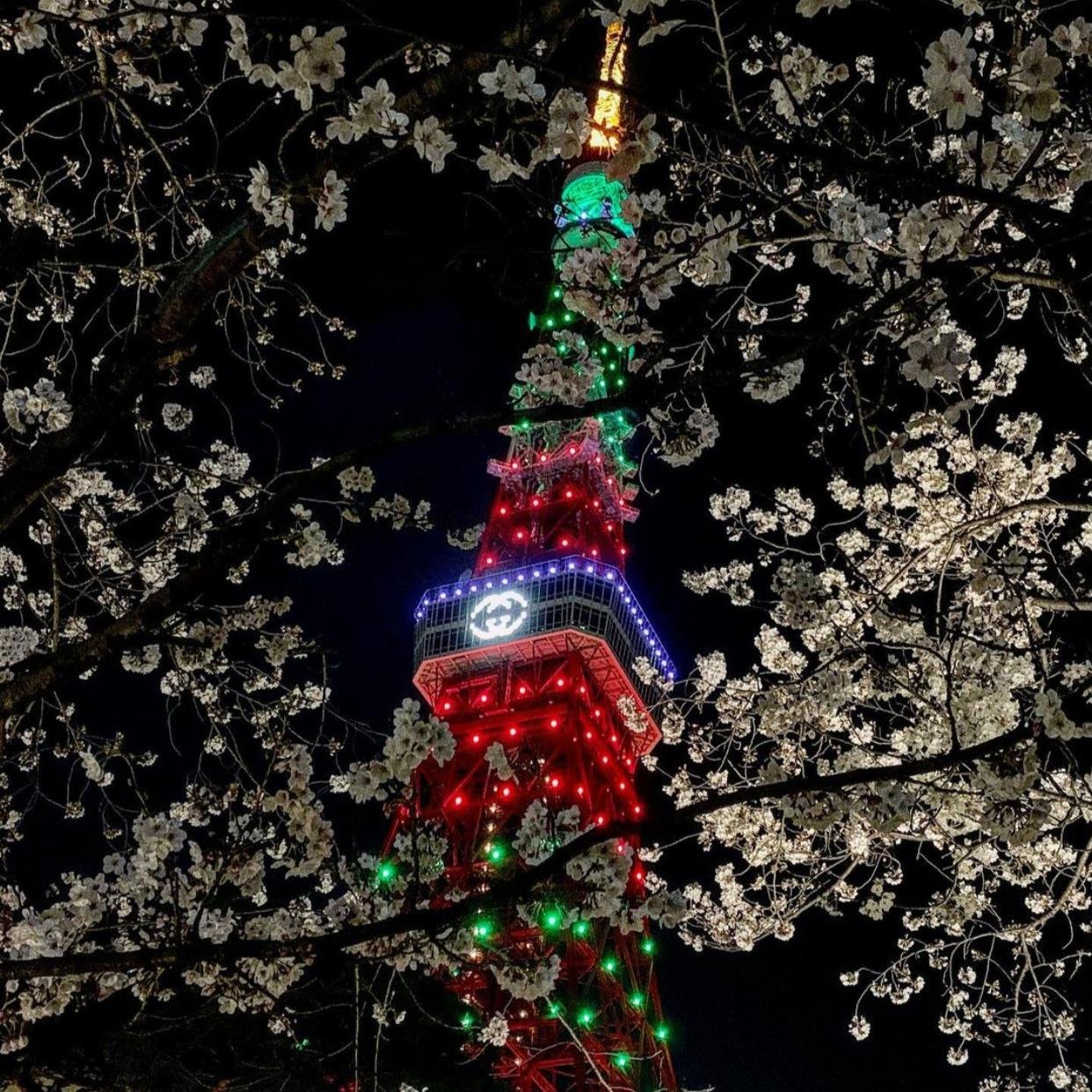 tokyo tower gucci