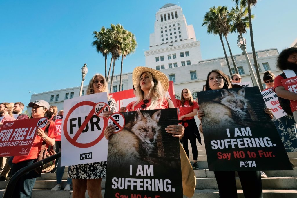 Califórnia é o primeiro Estado norte-americano a proibir a venda de pele animal