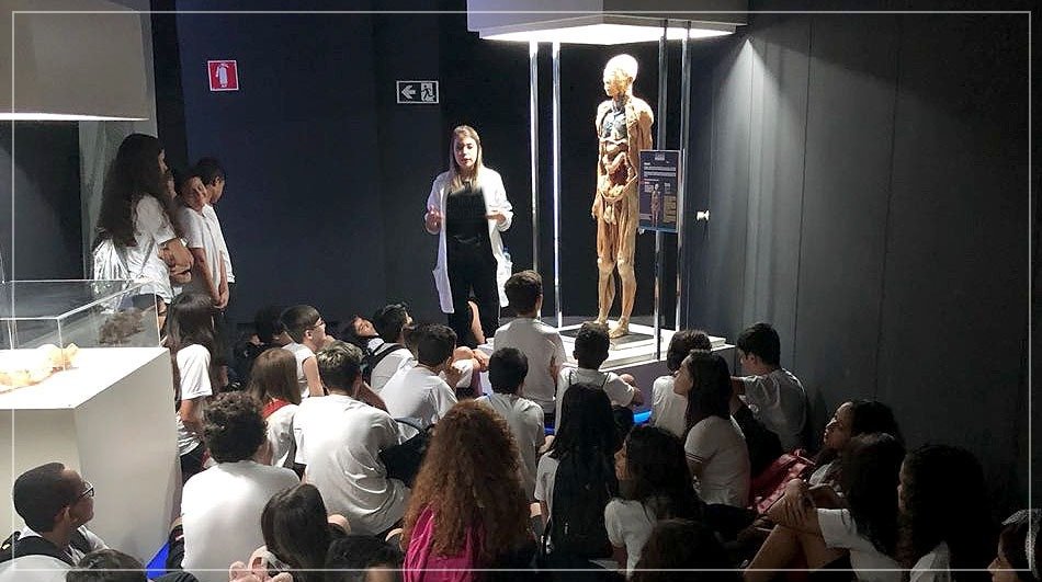 Exposição Corpo Humano chega a São Paulo