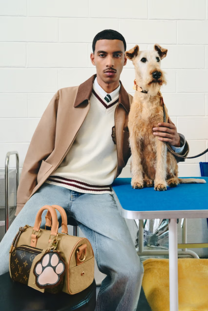 Louis Vuitton para cães: nova coleção da LV para os dog lovers