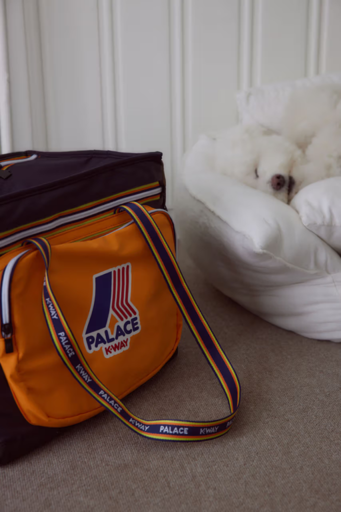 Palace x K-WAY: A Colaboração Que Leva Estilo e Funcionalidade Para Você e Seu Cachorro