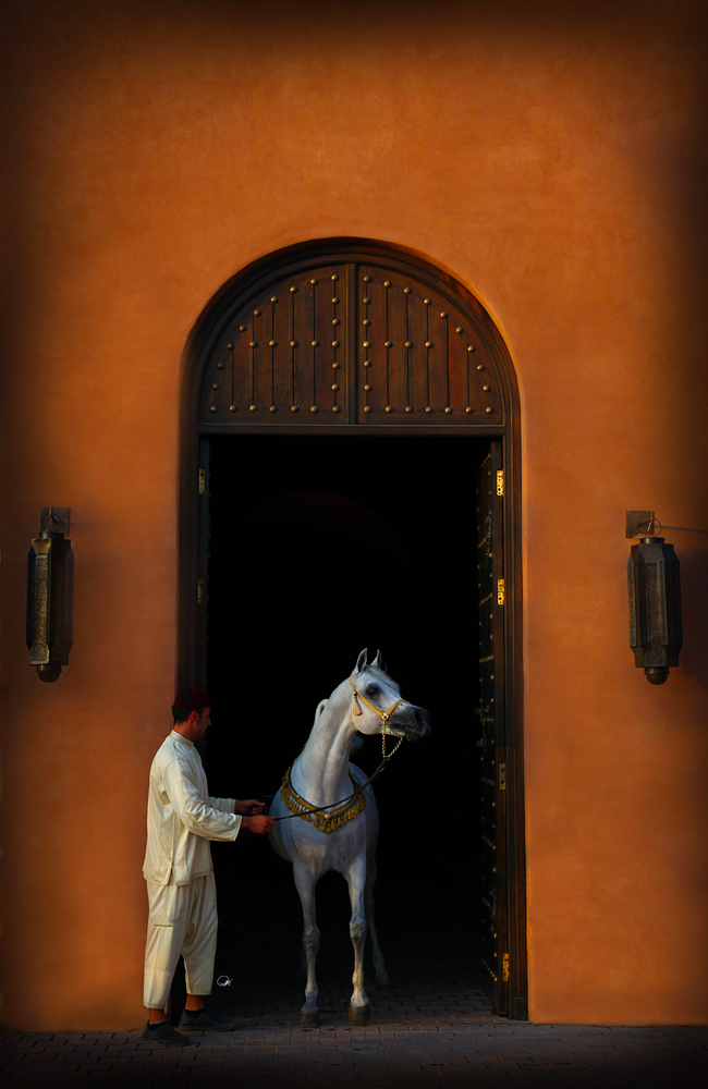 Le Selman: o hotel de Marrakech que parece um universo paralelo