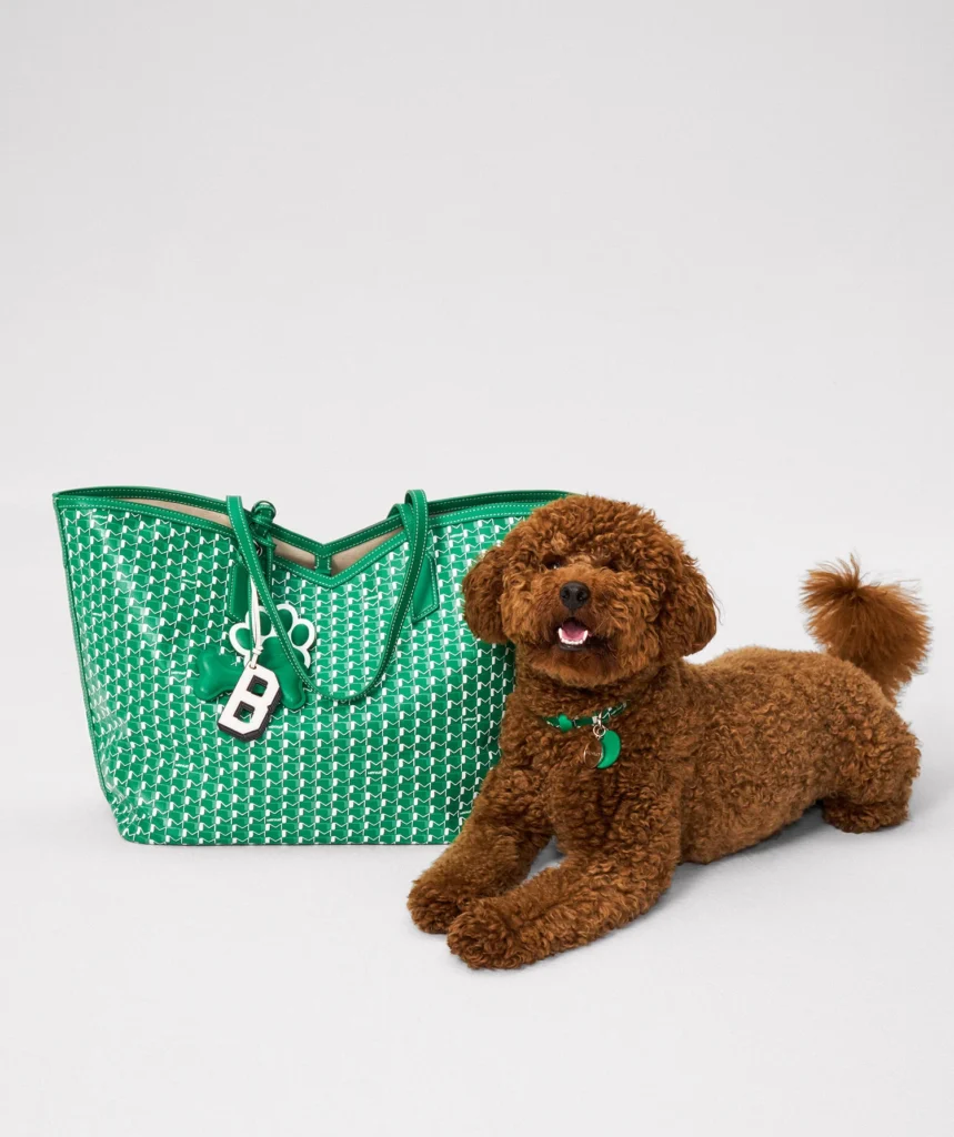 Moynat apresenta coleção de acessórios para pets com o M Canvas Pet Collection
