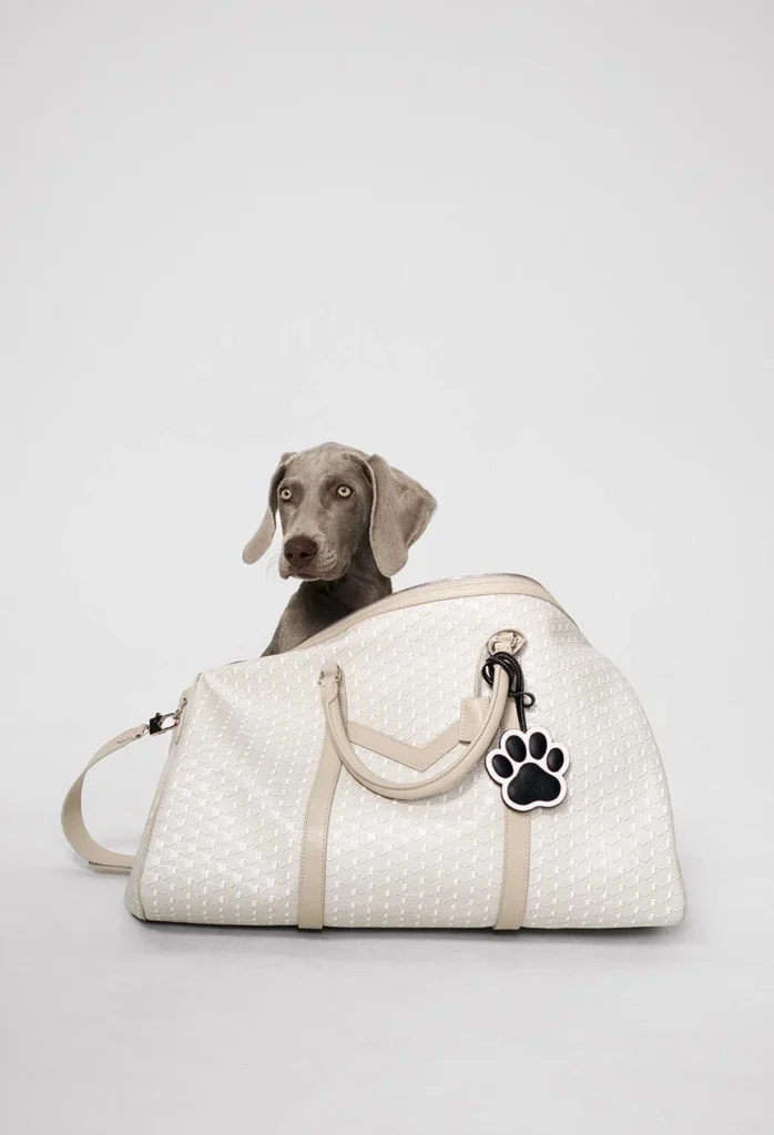 Moynat apresenta coleção de acessórios para pets com o M Canvas Pet Collection