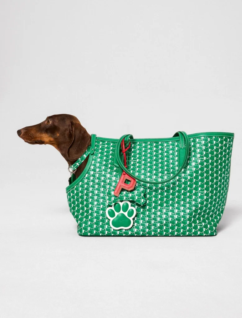 Moynat apresenta coleção de acessórios para pets com o M Canvas Pet Collection