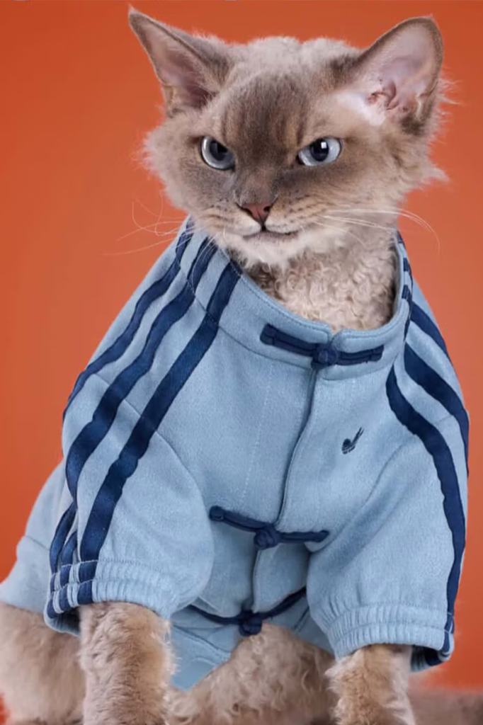 adidas pets coleção expande seu portfólio com jaquetas de estilo chinês inspiradas no Ano Novo Lunar e design tradicional.