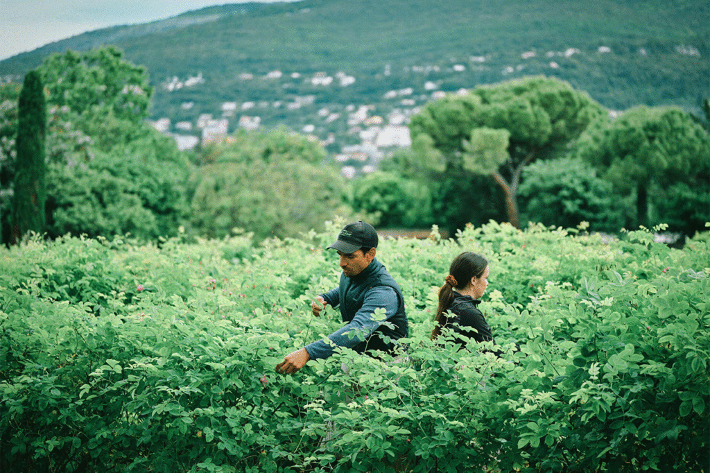 Perfumes Onitsuka Tiger: a estreia da marca japonesa na categoria