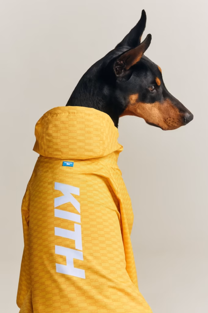 Kith lança coleção pet em parceria com a Wagwear