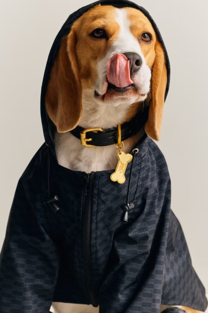 Kith lança coleção pet em parceria com a Wagwear