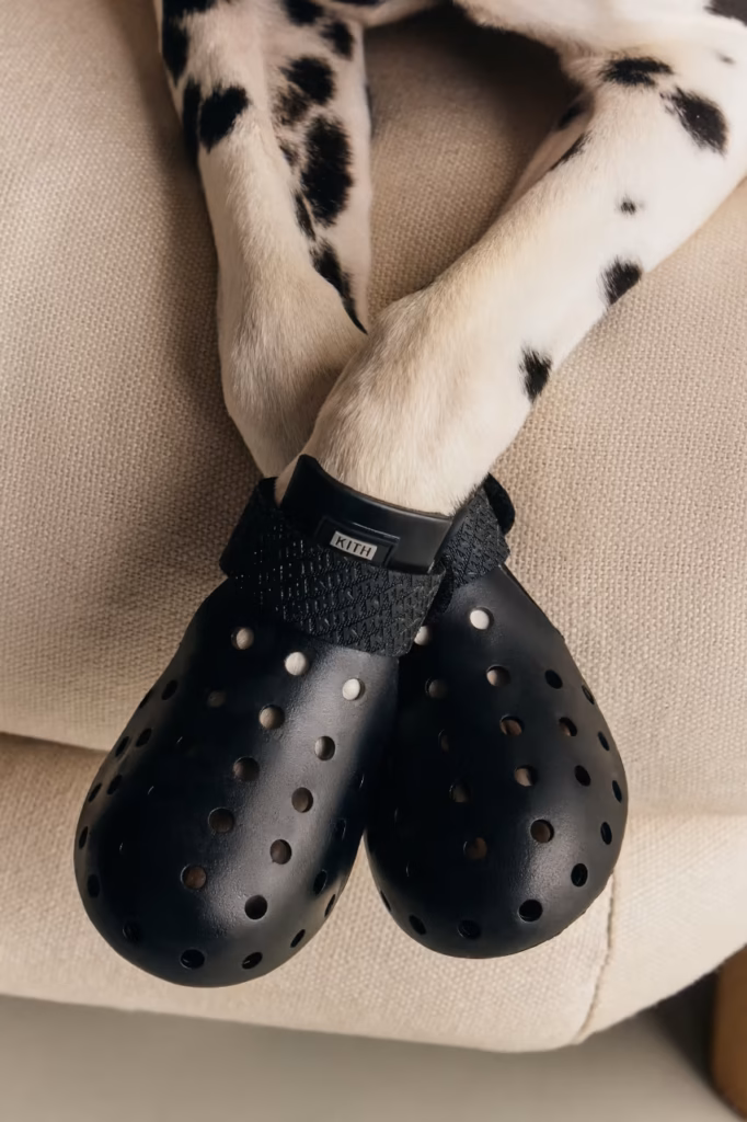 Kith lança coleção pet em parceria com a Wagwear