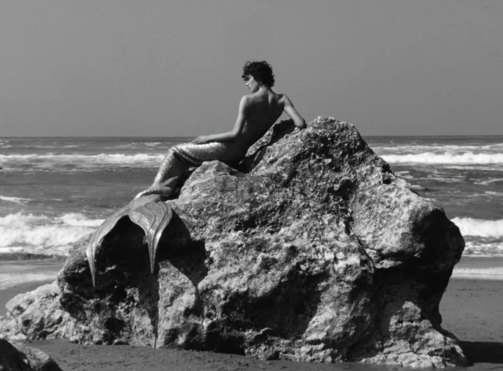 Campanha da coleção Cruise da Chanel