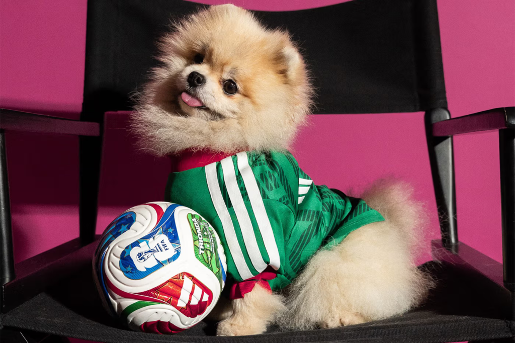 Adidas lança uniforme da Copa 2026 para pets