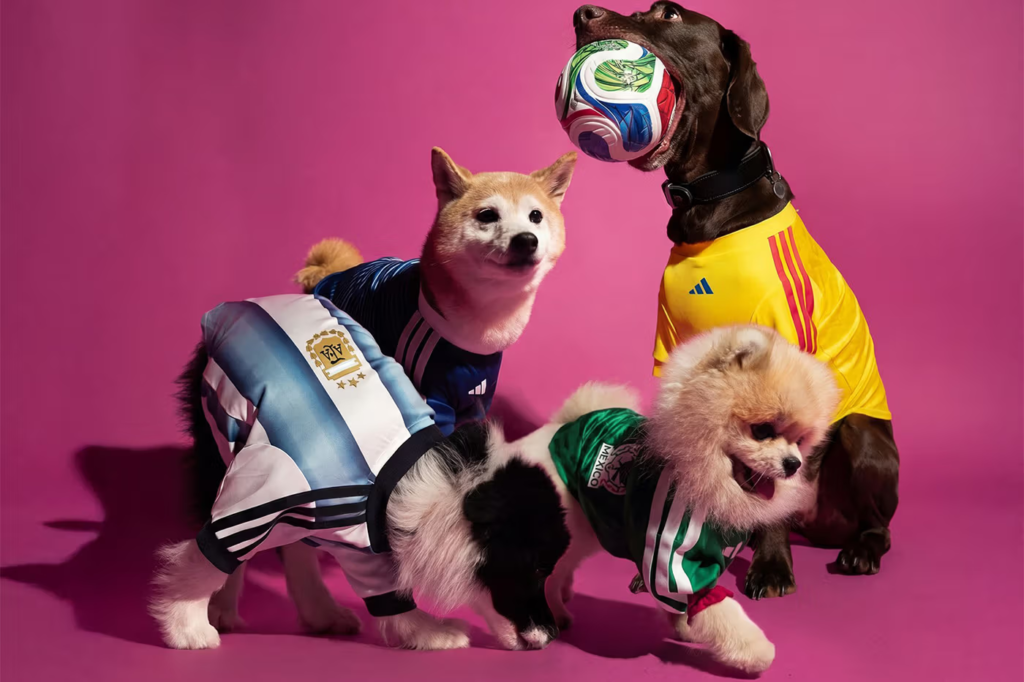 Adidas lança uniforme da Copa 2026 para pets