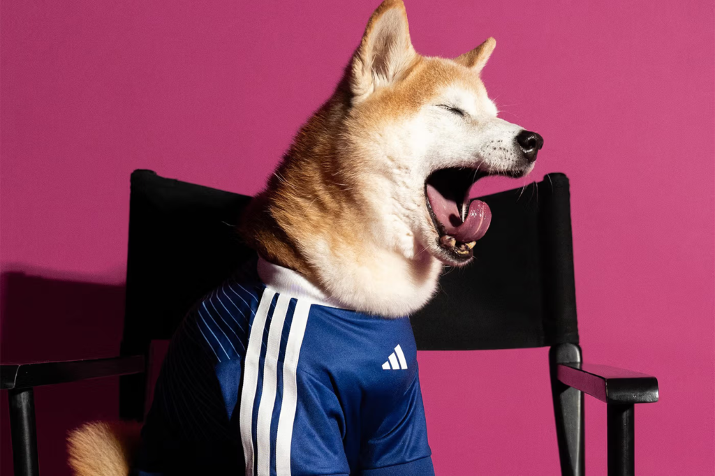 Adidas lança uniforme da Copa 2026 para pets