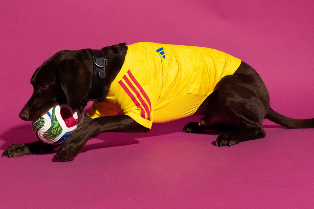 Adidas lança uniforme da Copa 2026 para pets