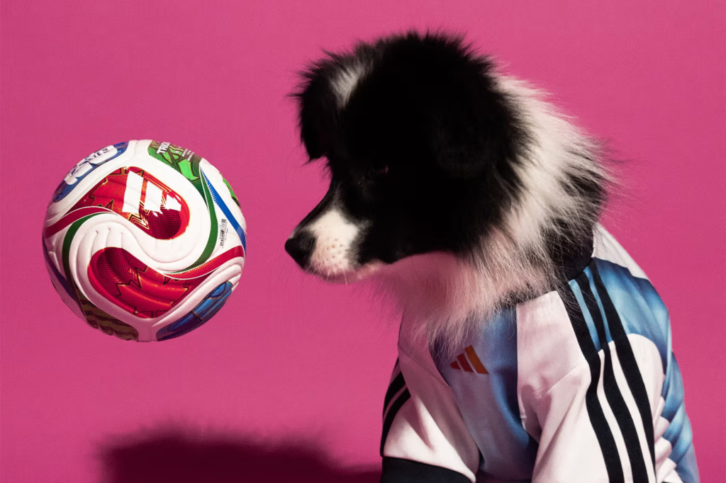 Adidas lança uniforme da Copa 2026 para pets
