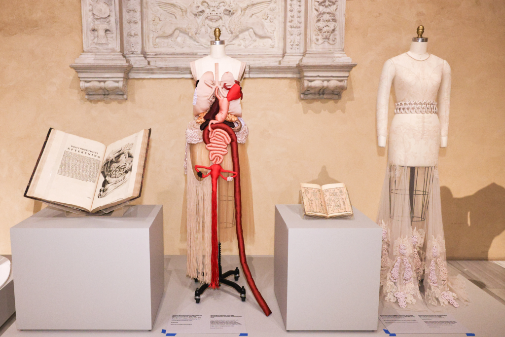 Met Gala 2026 bate recorde e arrecada US$ 42 milhões