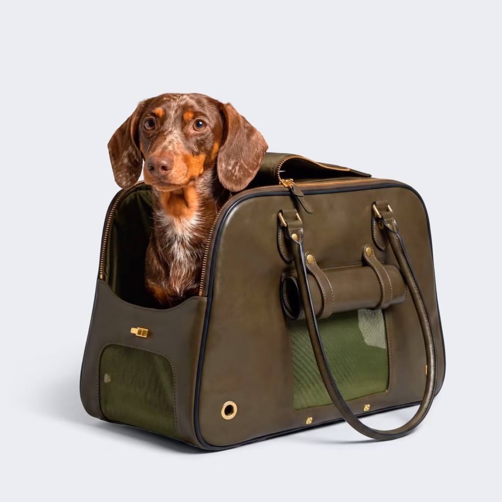 Adidas para Pets chegou ao Brasil
