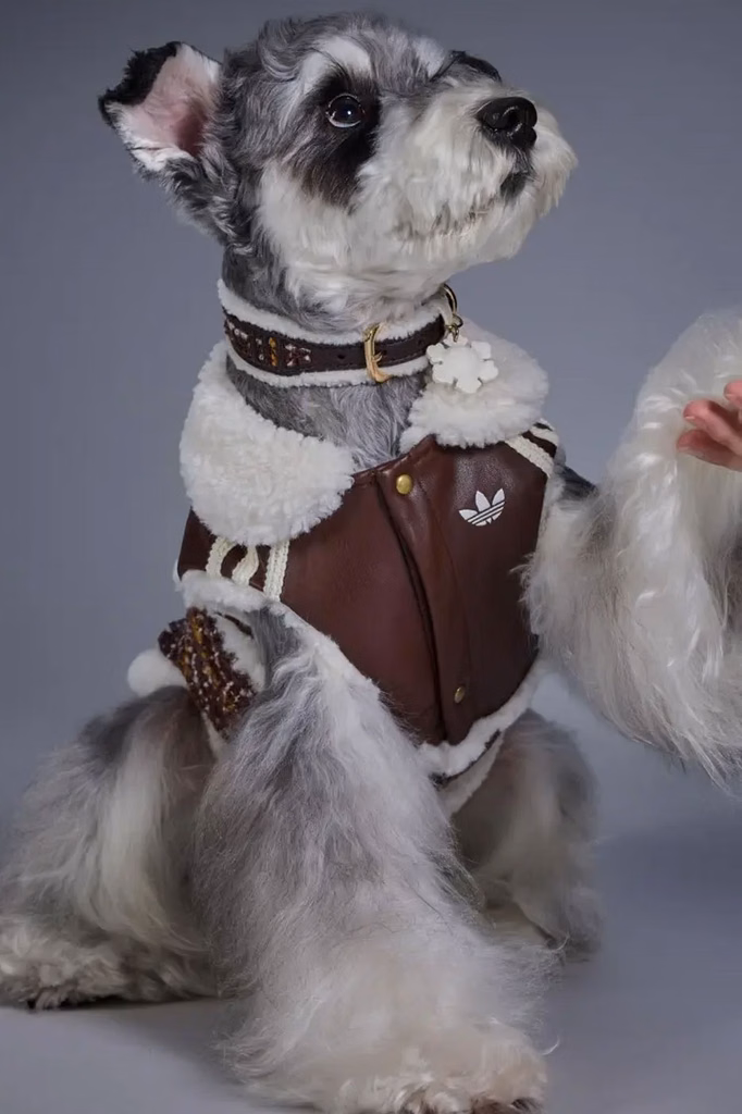 adidas Originals lança coleção de inverno para pets