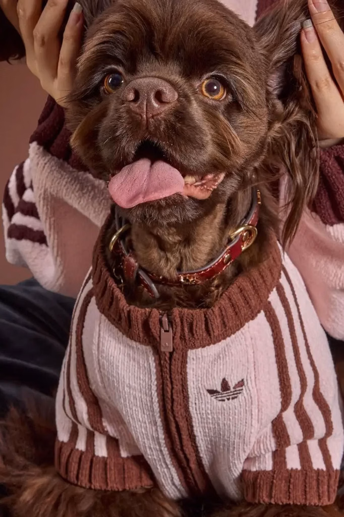 adidas Originals lança coleção de inverno para pets
